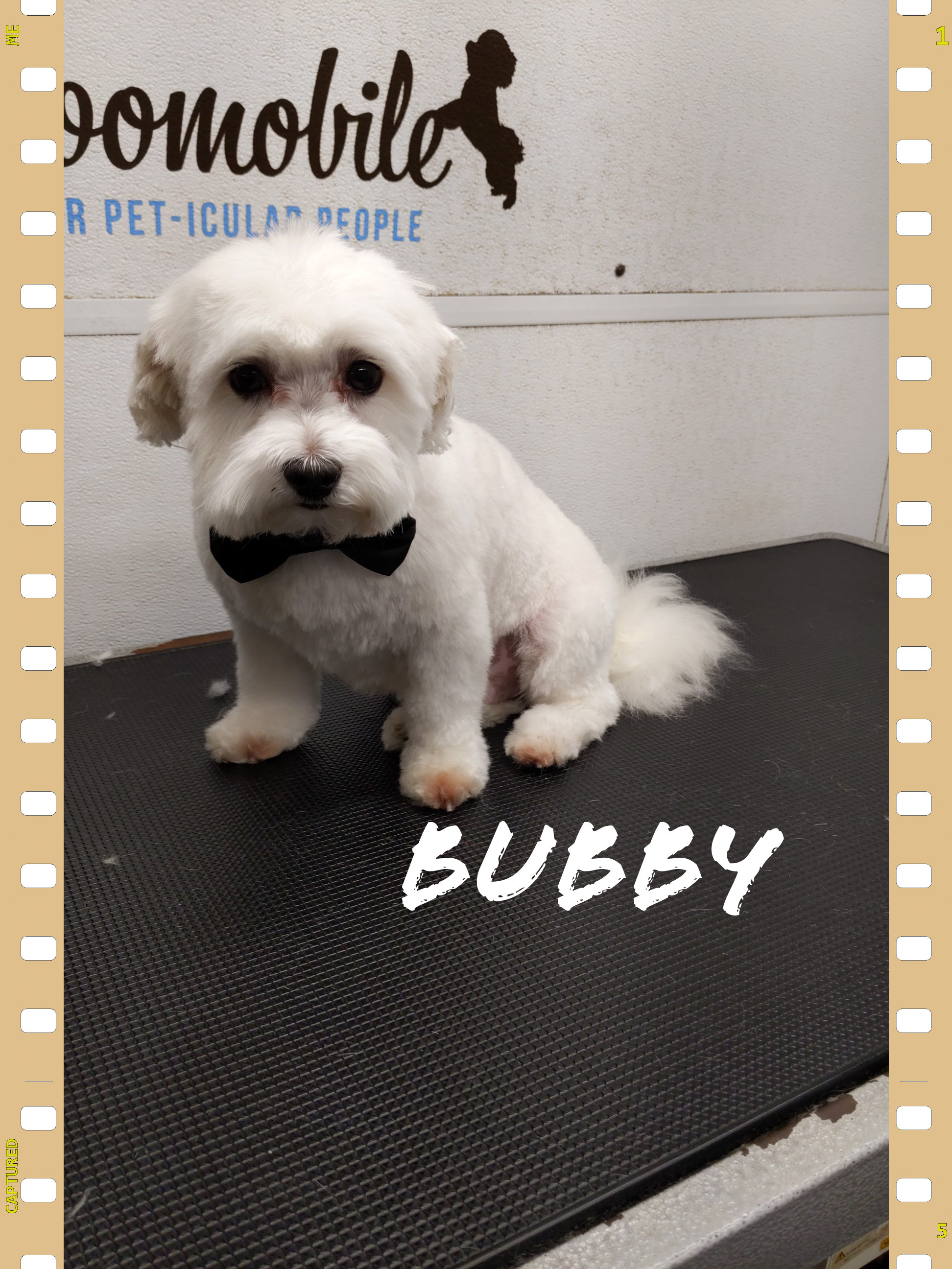 Complete grooming package results